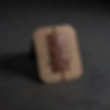 The Elegance of Dark Bandaids Close-up of a dark-colored bandaid on a textured surface