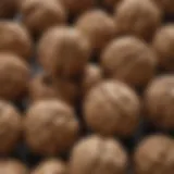 A close-up of walnuts showcasing their rich texture and color.