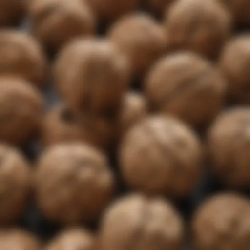 A close-up of walnuts showcasing their rich texture and color.