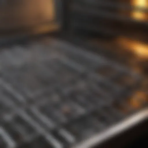 Efficient Cleaning Solution for Oven Grates