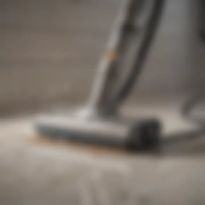 Steam Cleaner for Grout