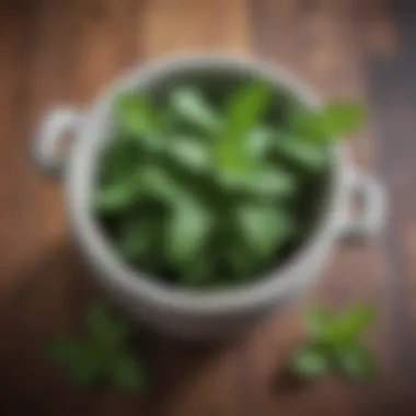 Mint leaves in a vintage mortar and pestle