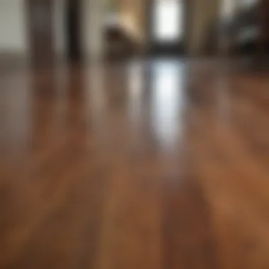 Hardwood floor shining after vinegar treatment