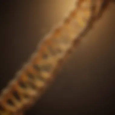 Intriguing DNA helix in golden light