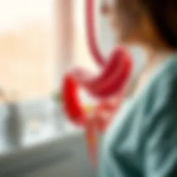 Illustration of gastrointestinal tract affected by flu
