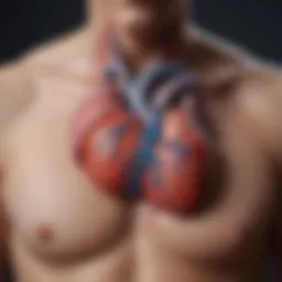 Anatomy of the heart highlighting areas of pain.