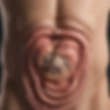 Understanding Stomach Noises: Digestive System Insights Digestive system illustration highlighting stomach noises
