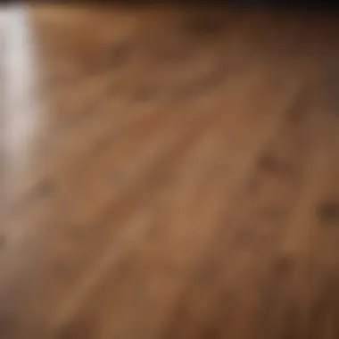 A pristine wood floor reflecting natural light, highlighting its shine after cleaning with vinegar.