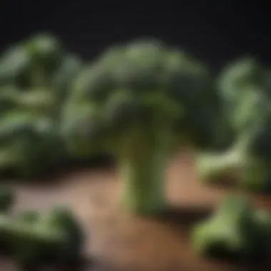 Fiber-Packed Broccoli to Combat Belly Fat Broccoli florets full of fiber