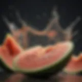 Vibrant Melon Splash