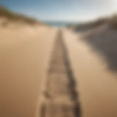 Footprints on a sandy beach showcasing a revitalizing walk