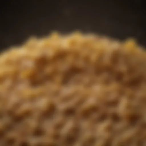 Whole wheat pasta grains close-up