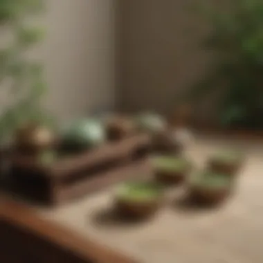 Zen Garden Setting with Green Tea Ceremony